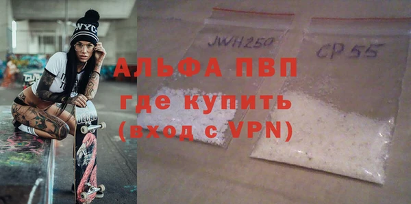 прущие грибы Балахна