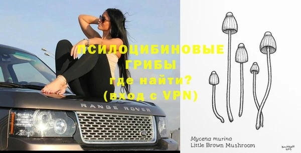 каннабис Снежинск