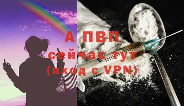 индика Белоозёрский