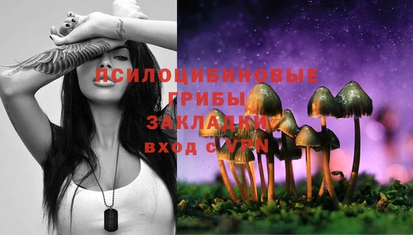 индика Белоозёрский