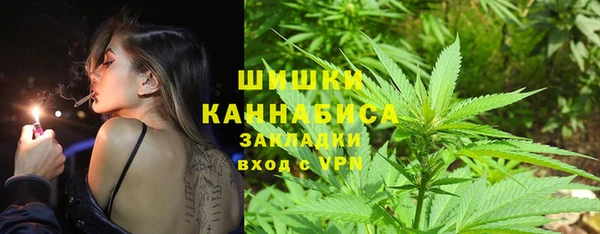 прущие грибы Балахна