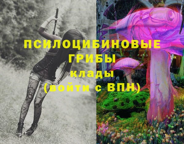 прущие грибы Балахна