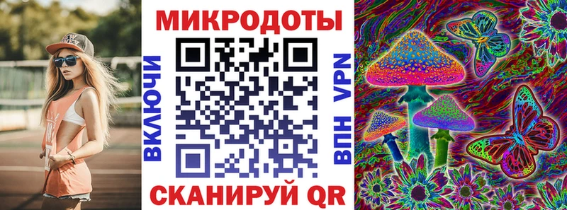 закладки  Нея  Галлюциногенные грибы Psilocybine cubensis 