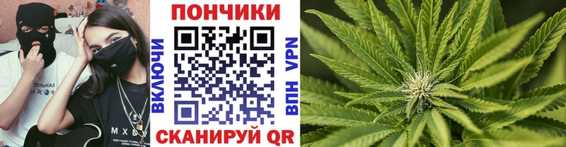 даркнет сайт  Нея  Каннабис сатива 